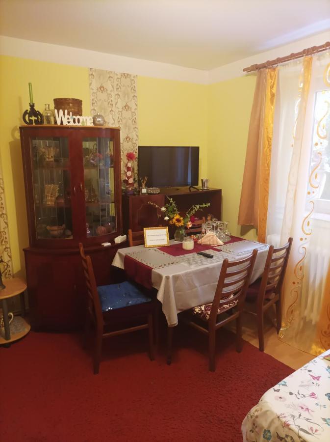 Apartament Cu Doua Camere Si Gradina Cluj-Napoca Exterior photo