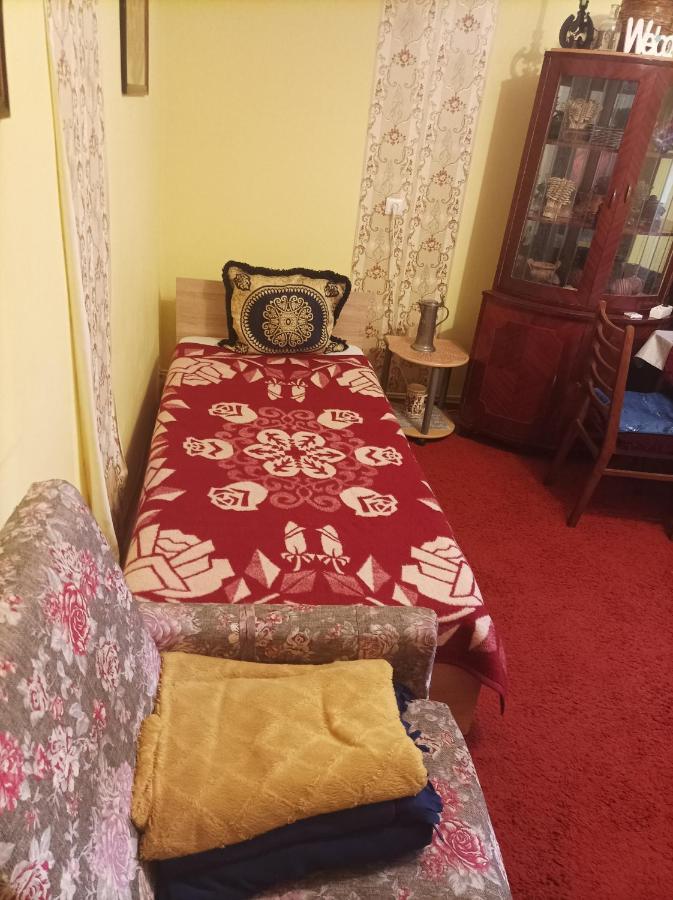 Apartament Cu Doua Camere Si Gradina Cluj-Napoca Exterior photo