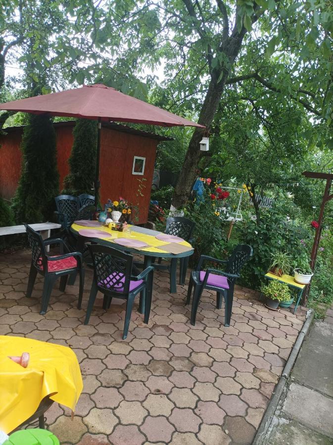 Apartament Cu Doua Camere Si Gradina Cluj-Napoca Exterior photo