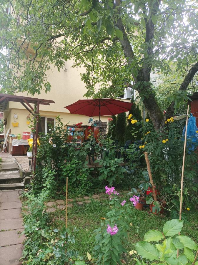 Apartament Cu Doua Camere Si Gradina Cluj-Napoca Exterior photo
