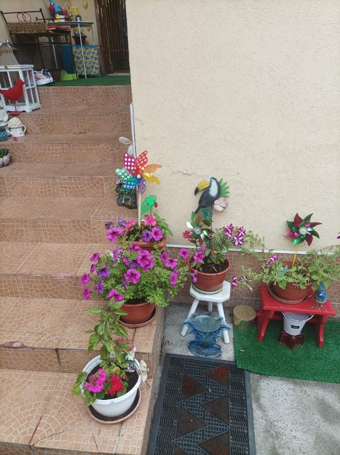 Apartament Cu Doua Camere Si Gradina Cluj-Napoca Exterior photo