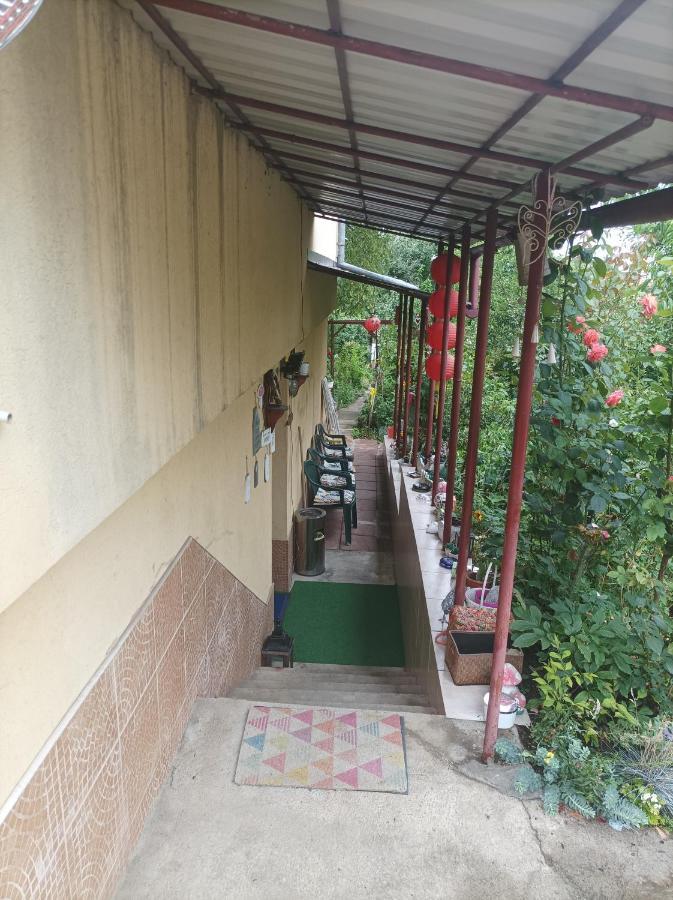 Apartament Cu Doua Camere Si Gradina Cluj-Napoca Exterior photo